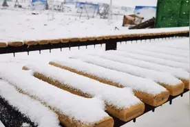 当暮雪遇上谷克德的索玛花！图片