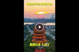 黄鹤楼闭园98天终归来，武汉黄鹤楼景区4月29日恢复开园图片