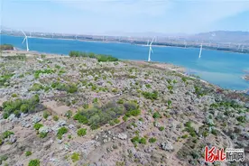 河北怀来：官厅湖畔海棠美图片