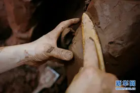 这双手，就是他们的世界——聚焦劳动者们的双手图片