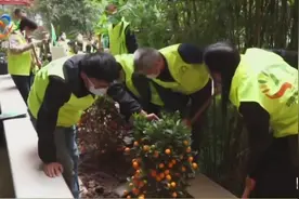 武汉：绿色驿站进校园 种下一片“希望林”视频封面