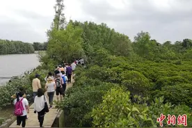 “五一”非琼籍小车过海费减免 海口推出系列旅游消费活动图片