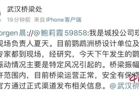 武汉鹦鹉洲长江大桥如波浪般晃动 官方：特定风况引起，安全有保障图片