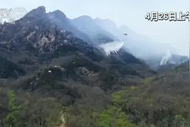山东青岛小珠山山火已扑灭6处火点 还有1处火点仍在扑救图片