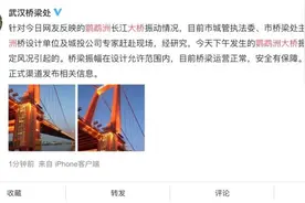 武汉鹦鹉洲长江大桥桥体晃动如波浪？权威回应来了图片