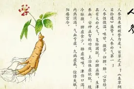舌尖上的药材｜“参”入人心！进补，你选对了吗？图片