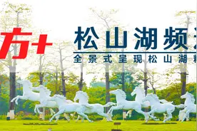 松山湖海归创业记②｜吕键：“数字化”让牙医工作更简单图片