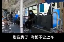 太原公交回应“交警扮盲人带导盲犬乘车被拒”：扣罚司机工资图片