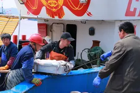 5月1日东海全面休渔，外省籍渔船一律回船籍港休渔图片