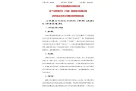 阿里入股手机分销巨头爱施德，拼多多投资国美，家电版三国杀成型图片