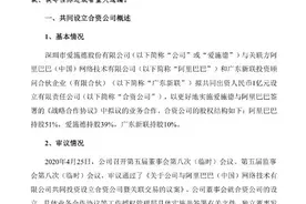 阿里入股手机分销巨头爱施德，拼多多投资国美，家电版三国杀成型图片