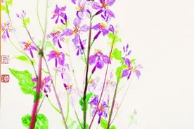 北京春花的典故：玉兰入药改了名字，诸葛亮用它解决粮草之急图片