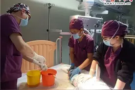 紧急！山东淄博一2岁幼童中毒！竟是吃了这种芒果…图片