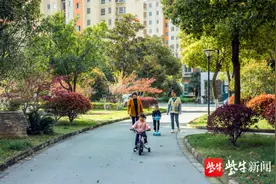 桥上江南•好生活｜期待与你相遇在盛南的春色里，盛南带你惬意过一天图片