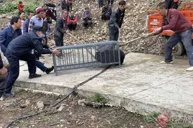 云南维西：警民联手救助受伤黑熊图片