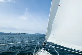 25名荷兰高中生因疫情滞留海外，驾船5周横渡大西洋回国图片