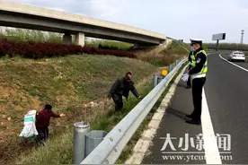 浪漫夫妻高速上挖野菜，高速交警及时制止劝离图片