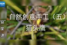 做出“大自然”！超实用亲子手工课（五）图片