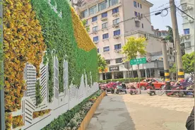 最严整治措施促 工地围挡“换装”图片