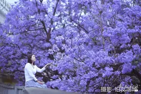 五一小长假周边游攻略请查收图片