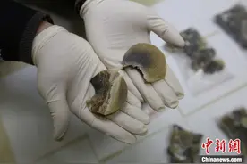 南昌海关侦破一起走私犀牛角制品案 案值43.75万元图片