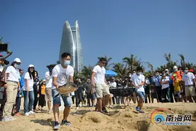 晓峰近距离 | 三亚：放“龟”自然图片