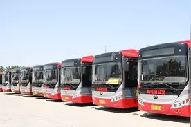 淄博淄川：公交路线恢复运营图片