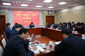 坚决贯彻落实市委指示要求 统筹协调加快推动“智慧磐石”工程建设图片