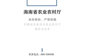 海南省农业农村厅 海南省林业局关于2020年省级现代农业产业园候选名单的通告图片
