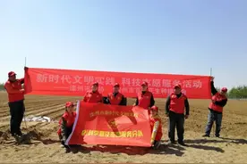 谷雨之后种花生，种好管好靠科技 滦州市花生种植协会科技志愿服务在田间地头图片