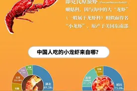 中国到底哪里的小龙虾最好吃？图片
