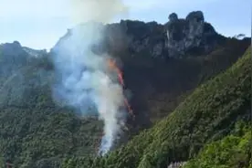 突发！广西河池老虎山发生火灾，两股火势已烧到山顶图片
