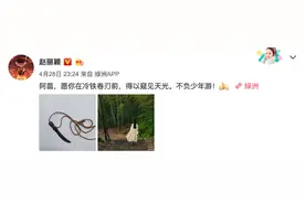 《有翡》杀青！赵丽颖王一博等主演绿洲发文与角色告别图片