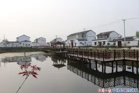 让“沉睡资产”焕发新的生机壮大集体经济图片