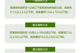 平度山林明火已被全部扑灭，失火原因查明图片