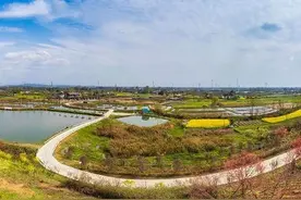 建设美丽公园城市“乡村版”郫都唐昌镇正变身“国家农业大公园”图片