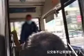 被骂哭导盲犬的主人：公交公司已道歉图片