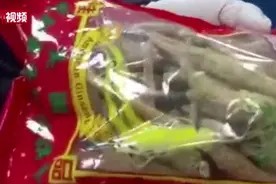 申报为“纪念品”实为西洋参  广州海关查获一批入境西洋参视频封面