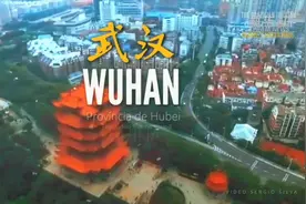 一名巴西柔术教练的抗疫故事图片
