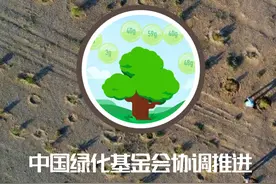 中国绿化基金会协调推进“蚂蚁森林”项目造林图片