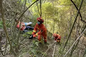 女子掰竹笋不慎掉落山崖 十堰消防紧急救援转危为安图片