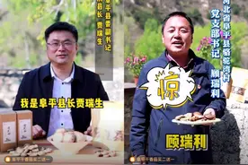 腾讯微视发布乡村品牌计划 阜平县“老乡菇”率先接入图片