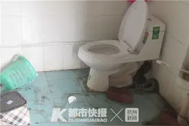 浙江一男子想去卫生间，竟发现一条大蛇蜷缩在角落图片