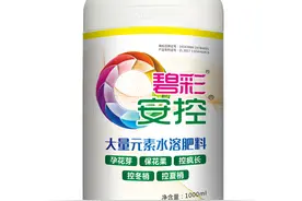 碧彩®安控®：安全控旺，促花稳果，更高收益，圈粉山东大樱桃农户图片
