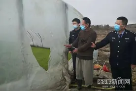 这人有多损！竟进人家大棚祸害秧苗图片