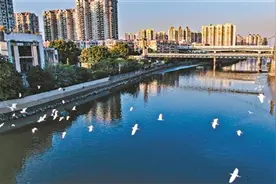倒垃圾入江河 最高可罚20万图片