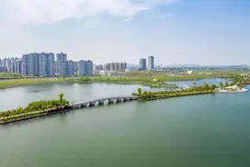 银杏天鹅湖五一开园 美照来啦图片