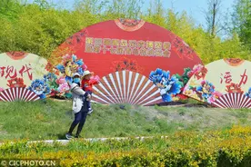 山东青岛：第三届青岛花博会启幕图片