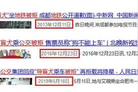 关于导盲犬，我们知道的还是太少了图片