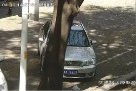 「请还盲人一条安全的道路」曝光一批机动车违法占用盲道图片